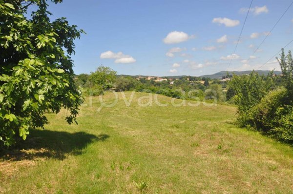 terreno agricolo in vendita a Rosignano Marittimo