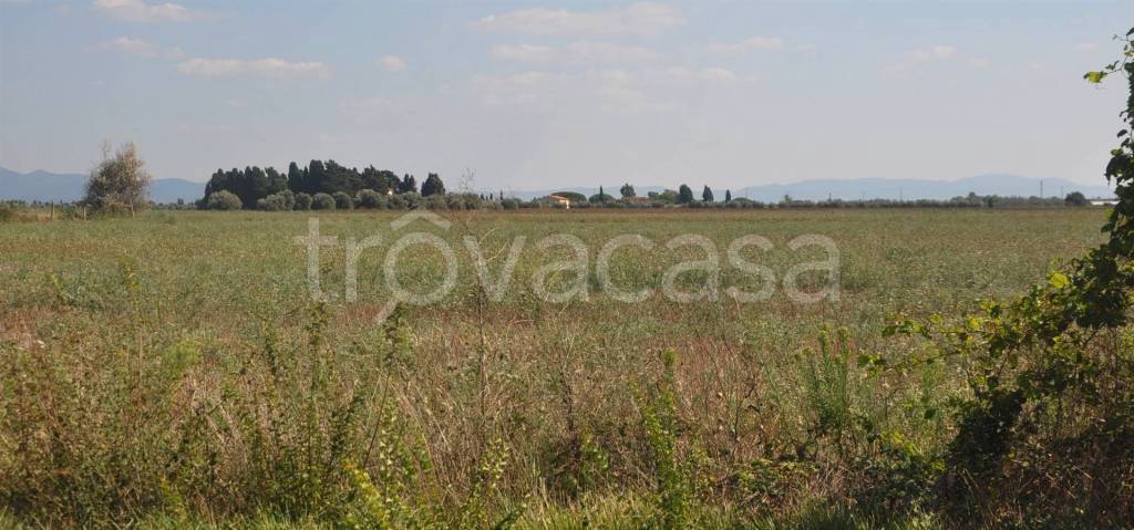 terreno agricolo in vendita a Rosignano Marittimo in zona Vada
