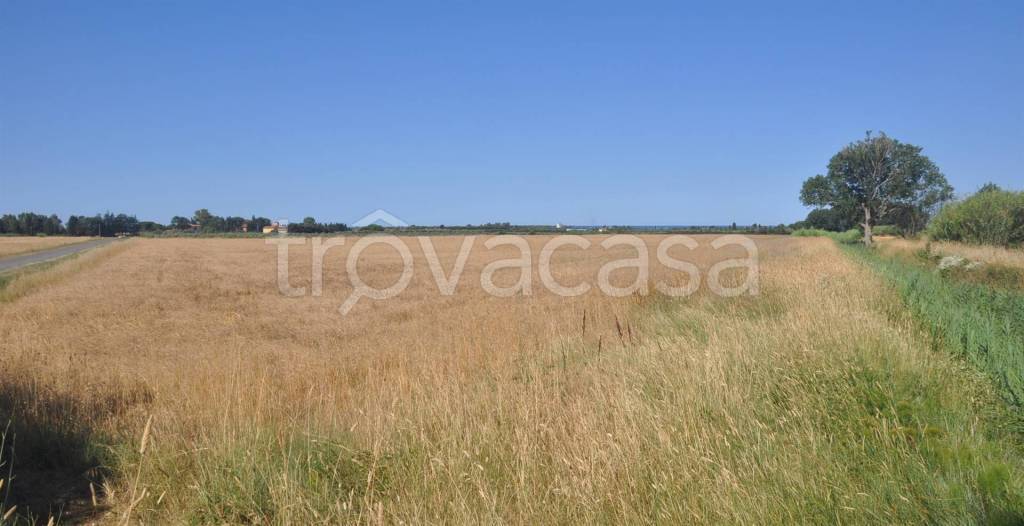 terreno agricolo in vendita a Rosignano Marittimo in zona Vada