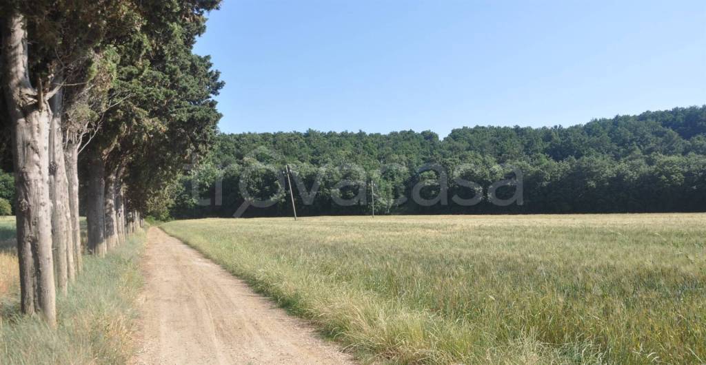 terreno agricolo in vendita a Rosignano Marittimo in zona Rosignano Solvay