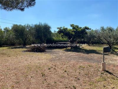 terreno agricolo in vendita a Rosignano Marittimo in zona Vada