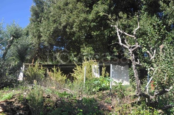 terreno agricolo in vendita a Rosignano Marittimo