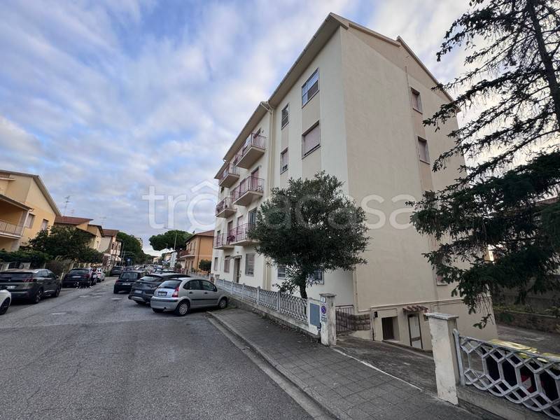 appartamento in vendita a Rosignano Marittimo