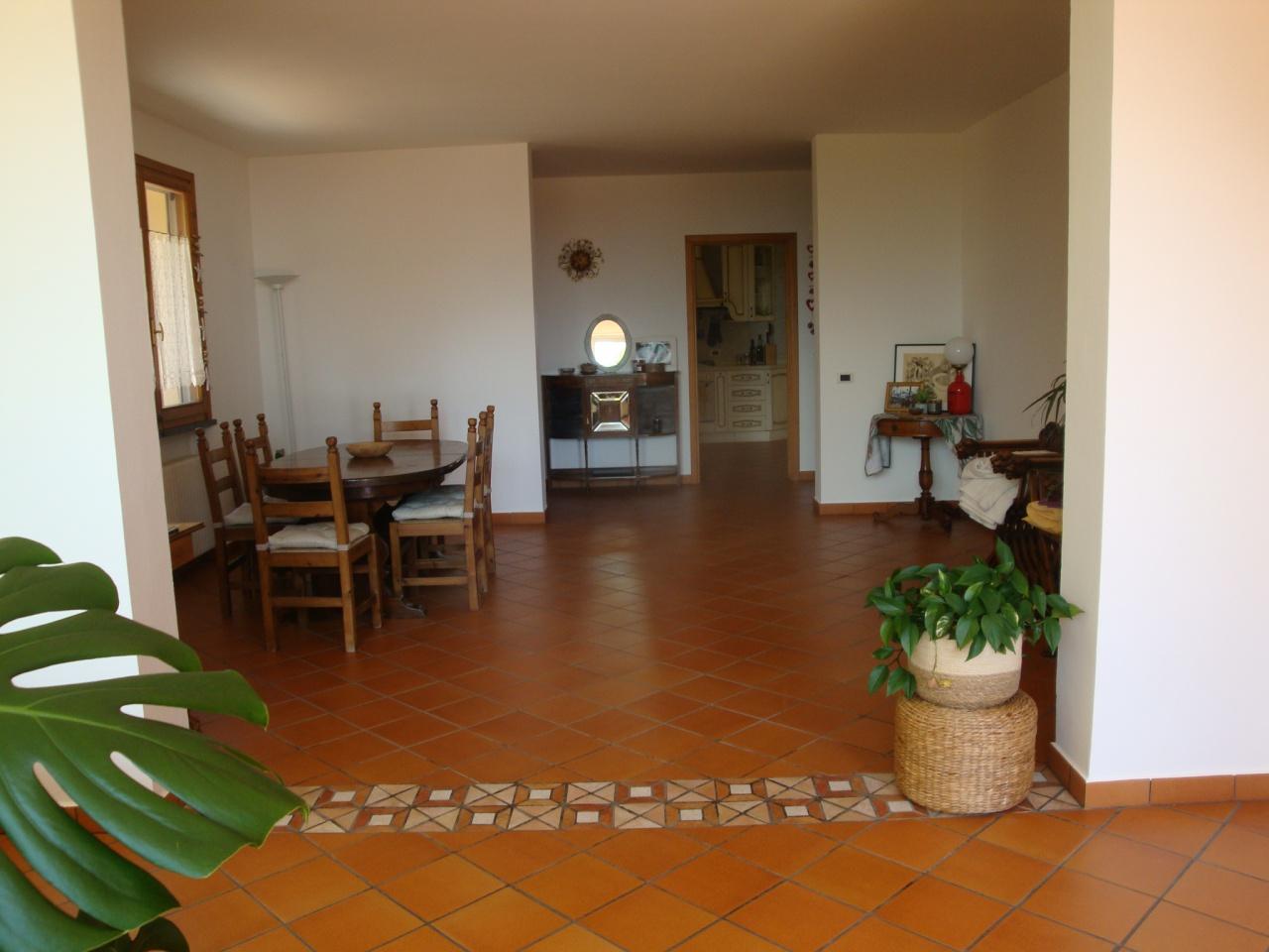 negozio in vendita a Rosignano Marittimo in zona Castiglioncello