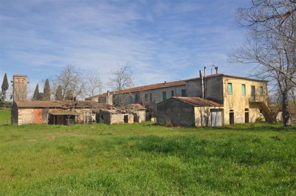 negozio in vendita a Rosignano Marittimo