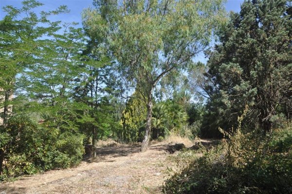 negozio in vendita a Rosignano Marittimo in zona Gabbro