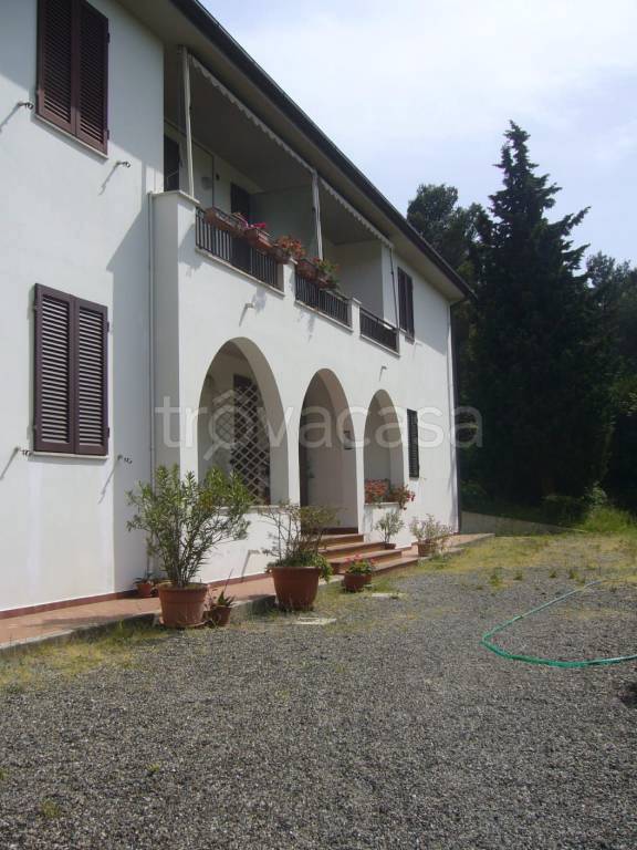 appartamento in vendita a Rosignano Marittimo