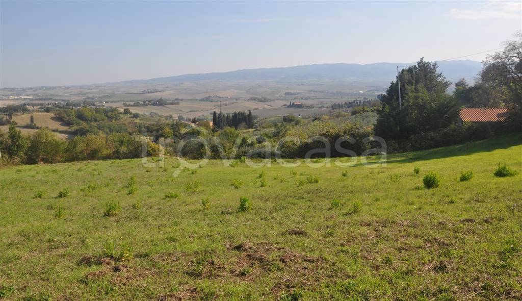 terreno agricolo in vendita a Rosignano Marittimo
