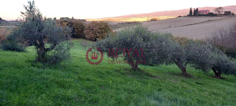 terreno agricolo a Rosignano Marittimo in zona Castelnuovo della Misericordia