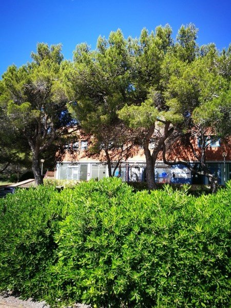 negozio in vendita a Rosignano Marittimo in zona Castiglioncello