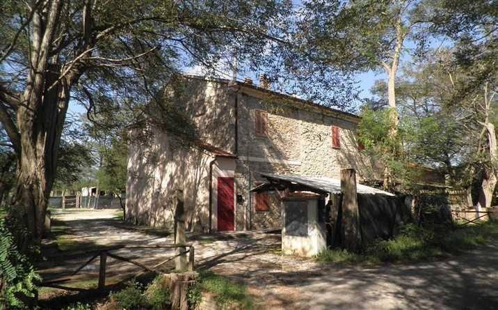 appartamento in vendita a Rosignano Marittimo in zona Vada