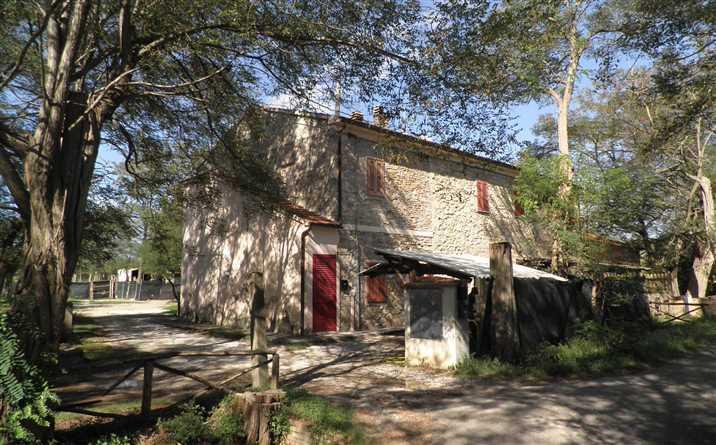 appartamento in vendita a Rosignano Marittimo in zona Vada
