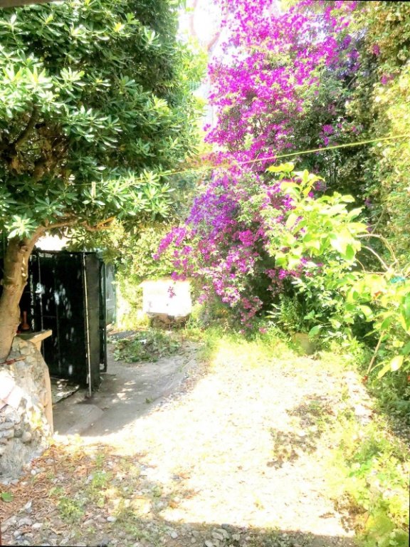 casa indipendente in vendita a Rosignano Marittimo in zona Castiglioncello