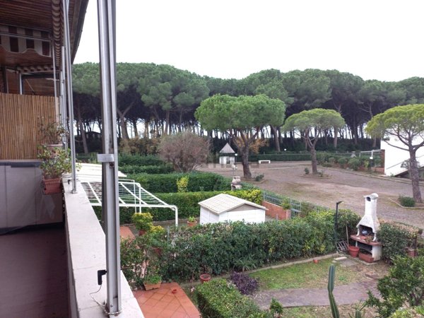 appartamento in vendita a Rosignano Marittimo in zona La Mazzanta
