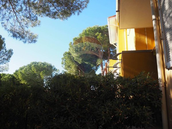 appartamento in vendita a Rosignano Marittimo in zona Castiglioncello