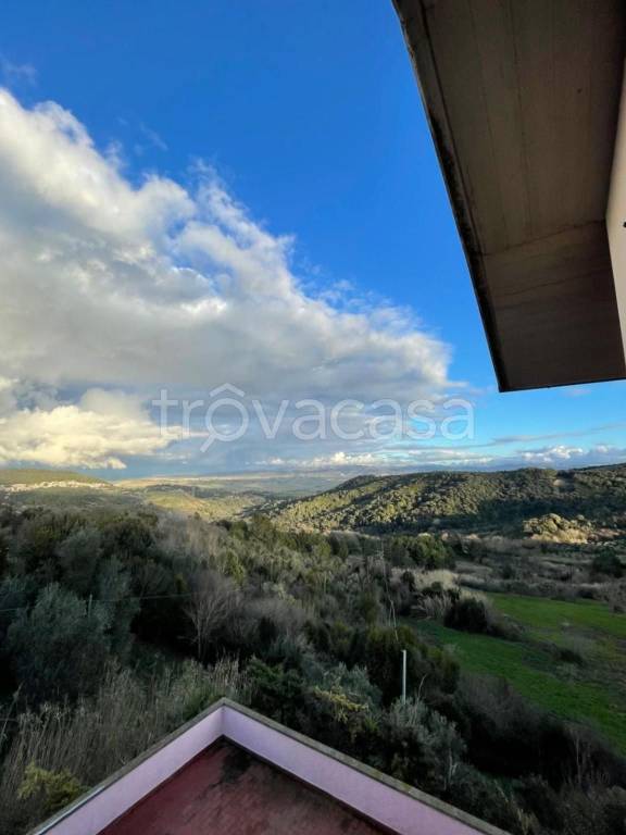 casa indipendente in vendita a Rosignano Marittimo in zona Nibbiaia