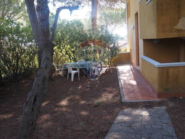 appartamento in vendita a Rosignano Marittimo in zona Castiglioncello
