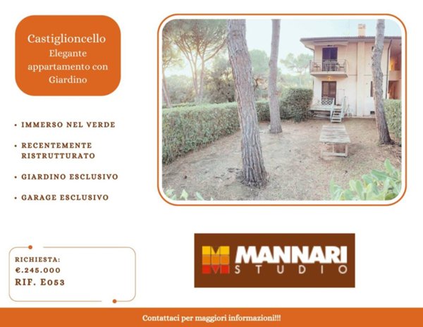 appartamento in vendita a Rosignano Marittimo