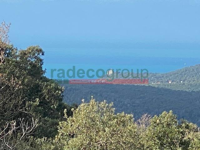 casa indipendente in vendita a Rosignano Marittimo in zona Nibbiaia