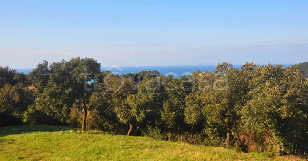 casa indipendente in vendita a Rosignano Marittimo