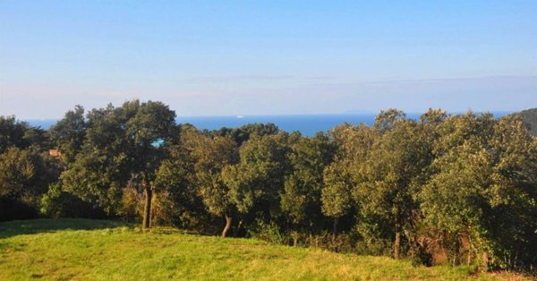 casale in vendita a Rosignano Marittimo