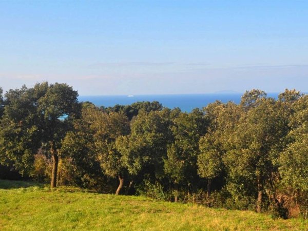 casale in vendita a Rosignano Marittimo