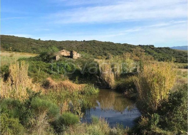 casa indipendente in vendita a Rosignano Marittimo in zona Castiglioncello
