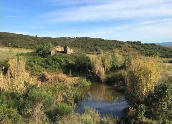 casale in vendita a Rosignano Marittimo in zona Castiglioncello