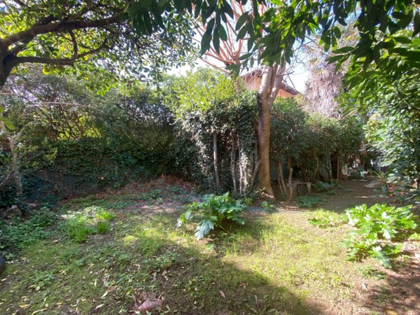 casa indipendente in vendita a Rosignano Marittimo in zona Castiglioncello