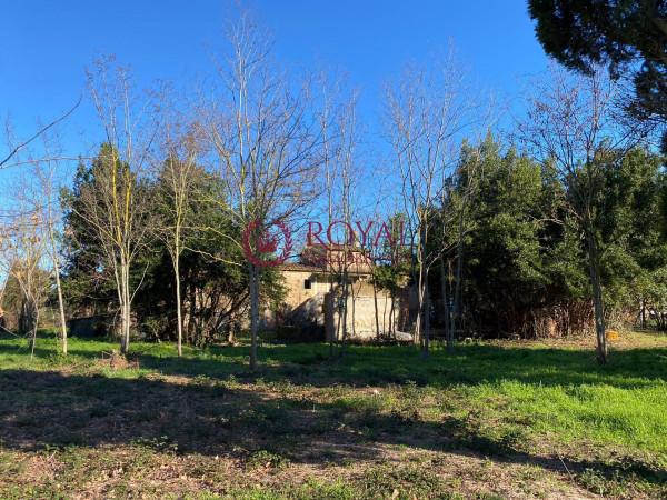 capannone in vendita a Rosignano Marittimo