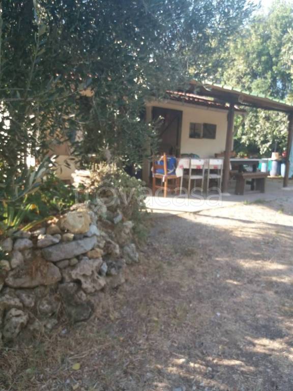 casa indipendente in vendita a Rosignano Marittimo in zona Rosignano Solvay