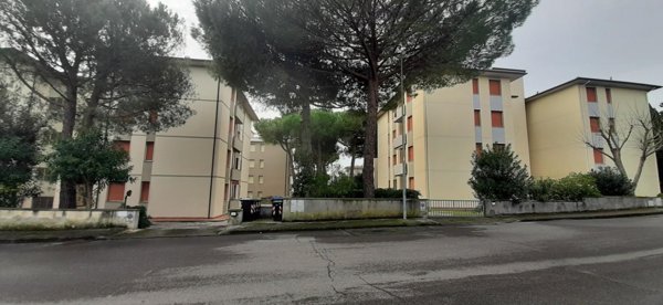 appartamento in vendita a Rosignano Marittimo in zona Castiglioncello