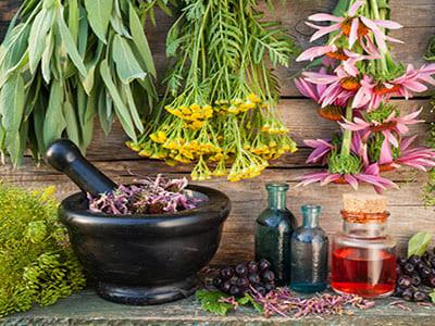 negozio in vendita a Rosignano Marittimo