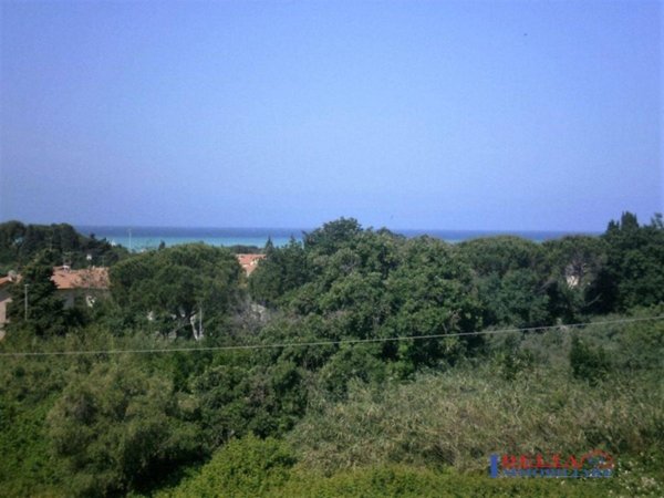 appartamento in vendita a Rosignano Marittimo in zona Castiglioncello