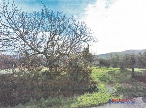 terreno agricolo in vendita a Rosignano Marittimo in zona Rosignano Solvay