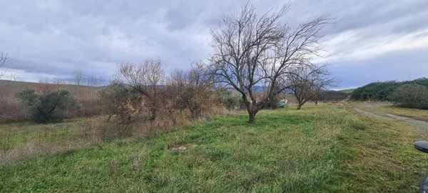 casa indipendente in vendita a Rosignano Marittimo in zona Gabbro