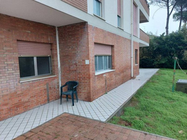 appartamento in vendita a Rosignano Marittimo