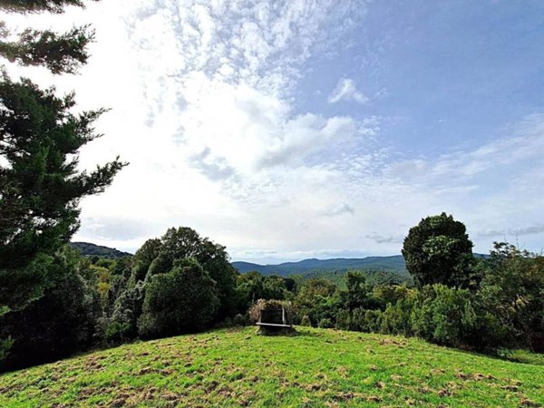 terreno agricolo in vendita a Rosignano Marittimo in zona Nibbiaia