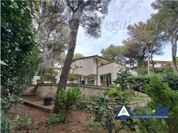casa indipendente in vendita a Rosignano Marittimo in zona Castiglioncello