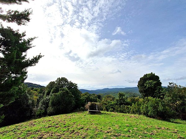 terreno agricolo in vendita a Rosignano Marittimo in zona Nibbiaia