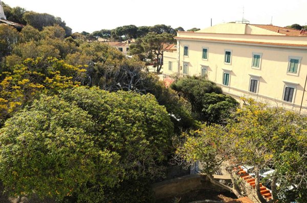 appartamento in vendita a Rosignano Marittimo in zona Castiglioncello