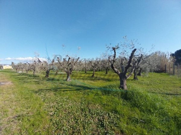 terreno agricolo in vendita a Rosignano Marittimo in zona Vada