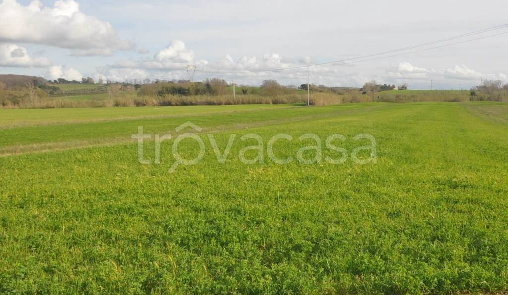 terreno agricolo in vendita a Rosignano Marittimo in zona Rosignano Solvay