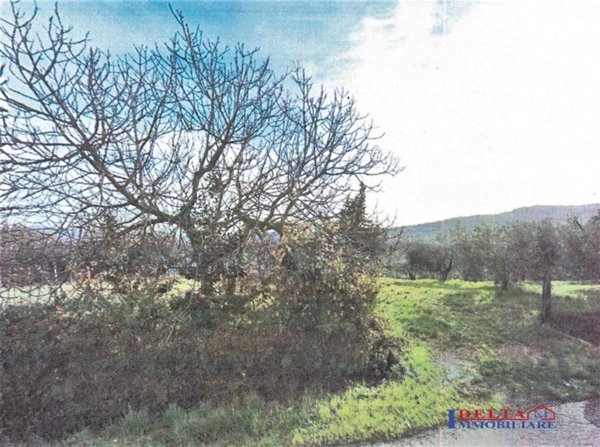 terreno agricolo in vendita a Rosignano Marittimo