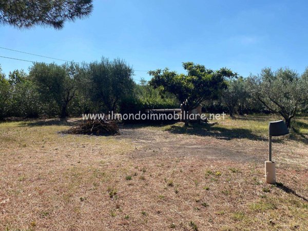 terreno agricolo in vendita a Rosignano Marittimo in zona Vada