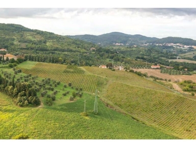 casa indipendente in vendita a Rosignano Marittimo