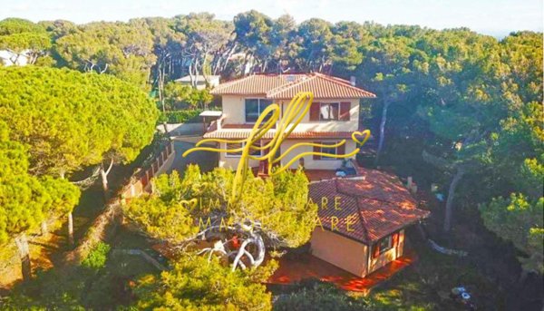 casa indipendente in vendita a Rosignano Marittimo in zona Castiglioncello
