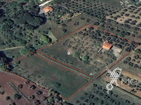 terreno agricolo in vendita a Rosignano Marittimo