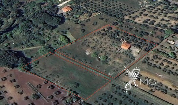 terreno agricolo in vendita a Rosignano Marittimo in zona Castiglioncello