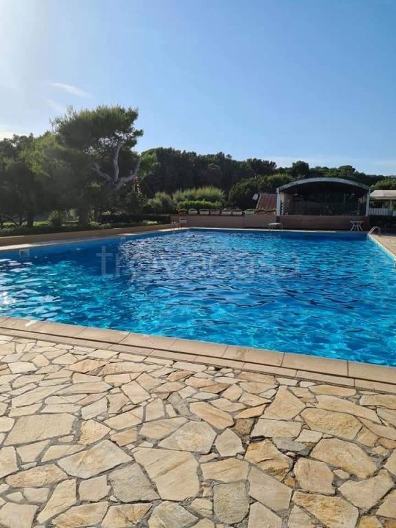 appartamento in vendita a Rosignano Marittimo
